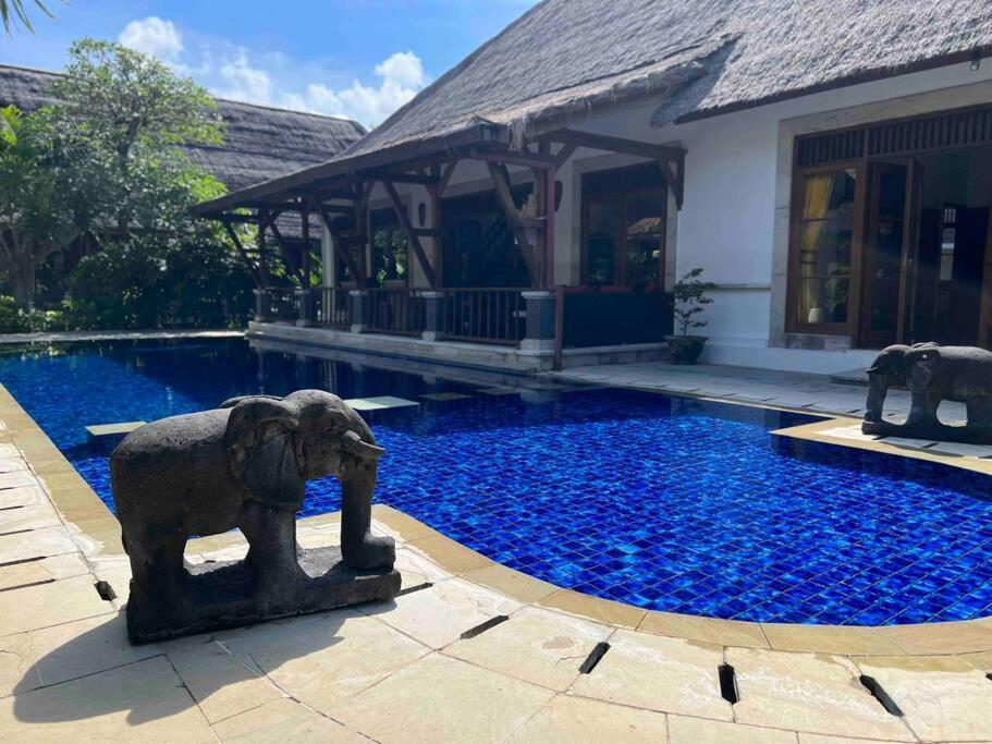Bali Berg Villa, Sanur المظهر الخارجي الصورة