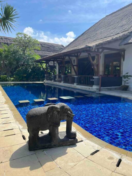 Bali Berg Villa, Sanur المظهر الخارجي الصورة